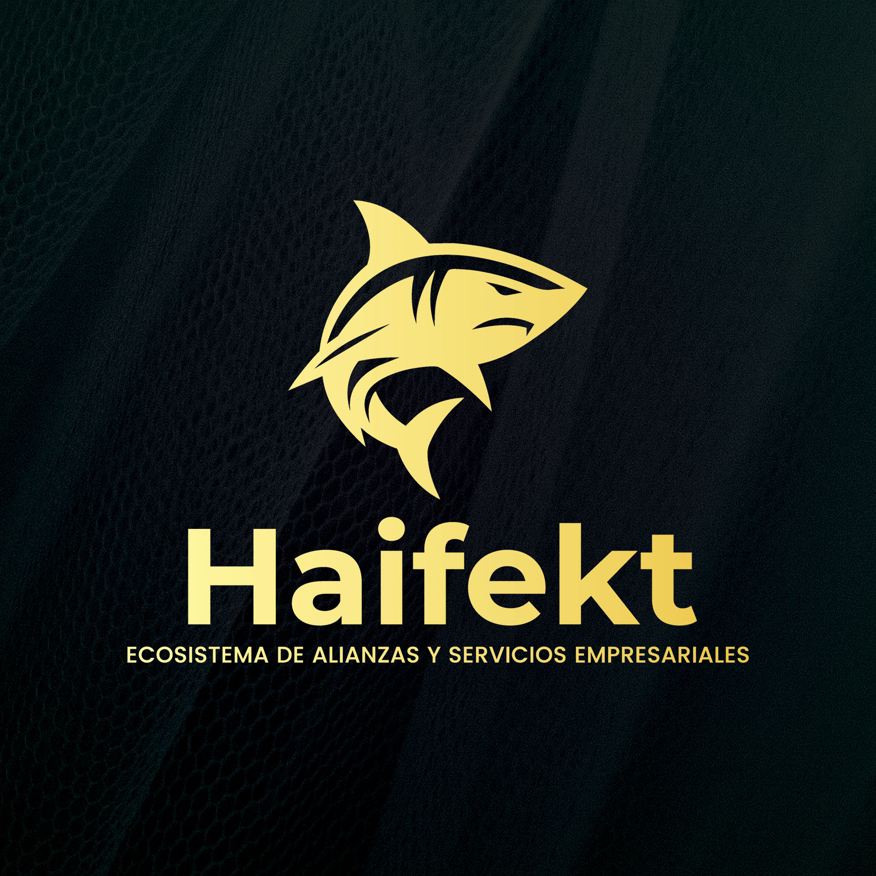 Membresía de Acceso - Foro Privado y Oportunidades Colaborativas (1 año)